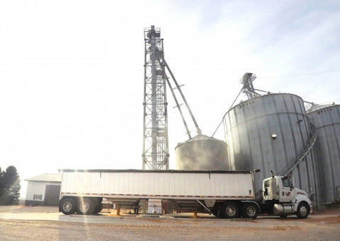 Sudenga Shallow Double Drive Over (SDDO) Receiving Pit