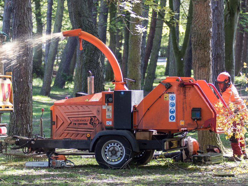 Wood processing