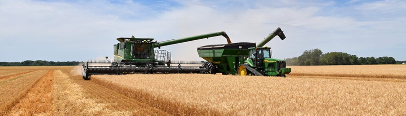 Grain cart during wheat harvest